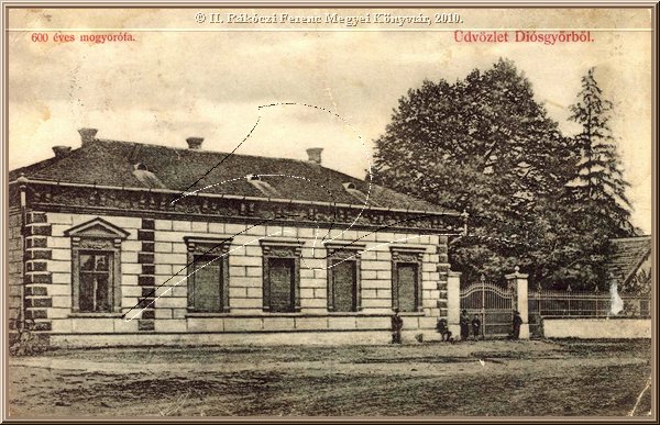 udvozlet_diosgyorbol_600_eves_mogyorofa.jpg