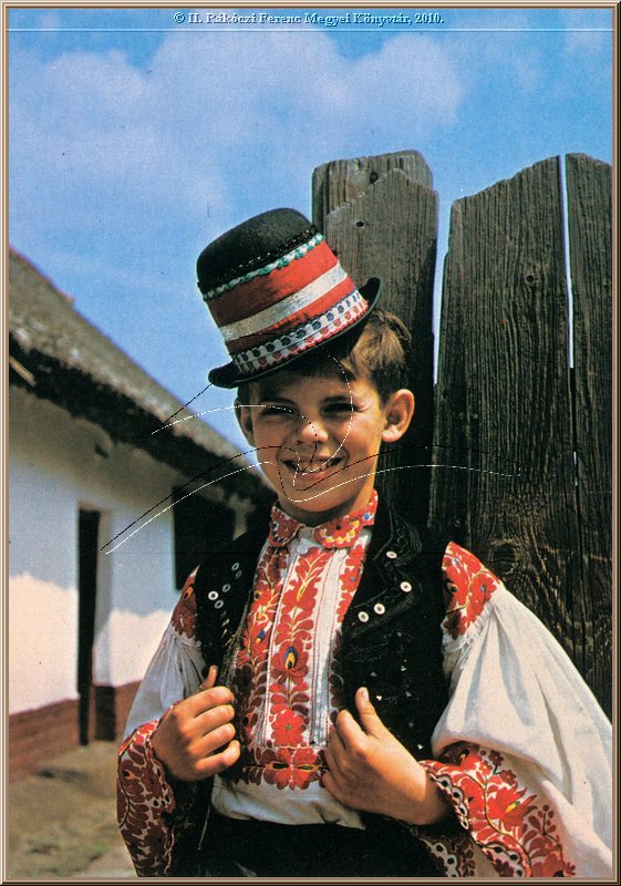 mezokovesd_nepviselet_26.jpg