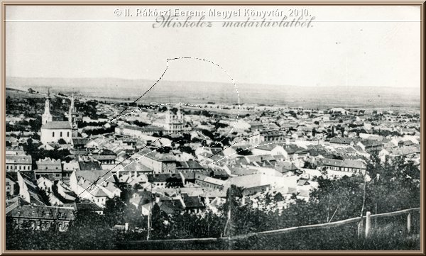 miskolc_madartavlatbol.jpg