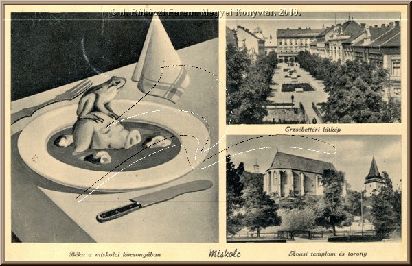 miskolc_montazs_5.jpg