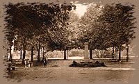 miskolc_nepkert_erzsebet_szobor.jpg