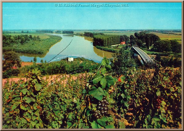 tokaj_latkep_12.jpg