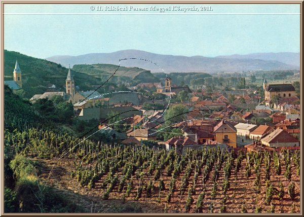 tokaj_latkep_14.jpg