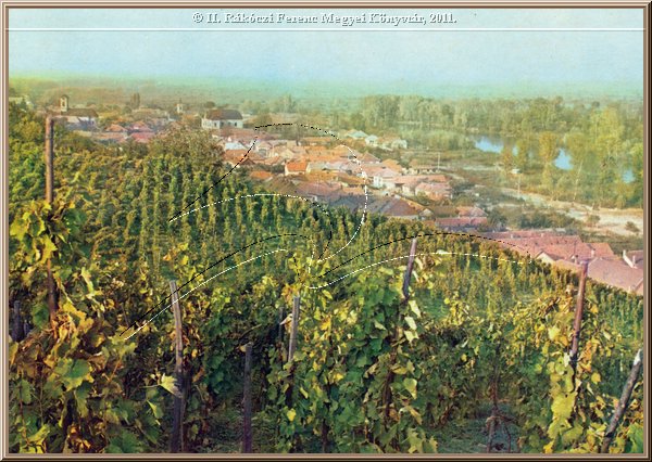 tokaj_latkep_15.jpg