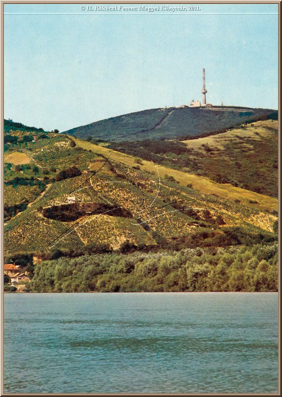 tokaj_latkep_18.jpg