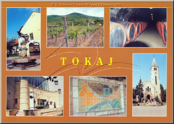 tokaj_montazs_11.jpg