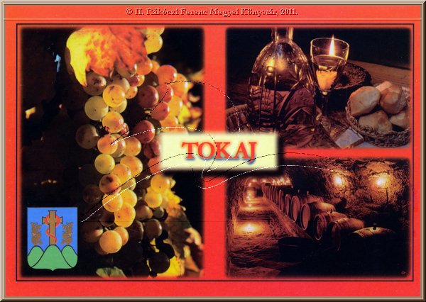 tokaj_montazs_18.jpg