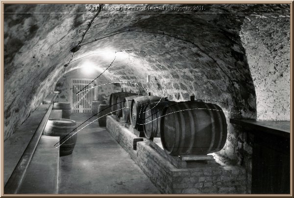 tokaj_pince_borozo01.jpg