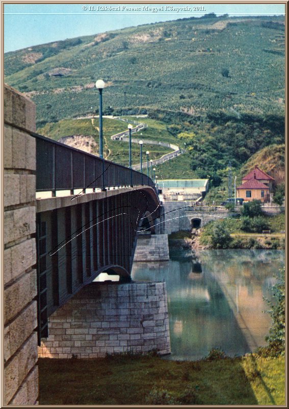 tokaj_tisza_hid_szoloheggyel.jpg