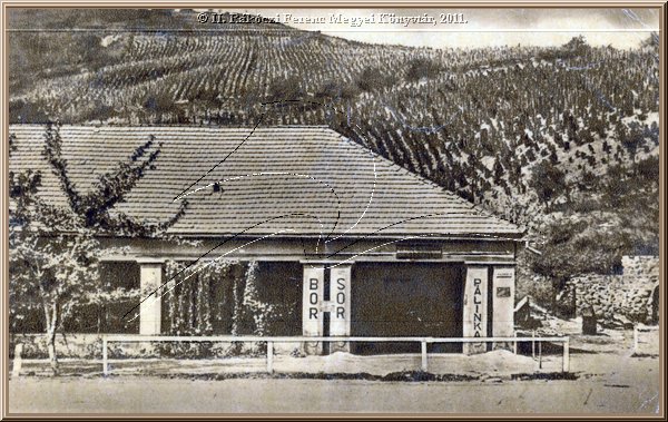 tokaj_udvozlet_tokajbol01.jpg