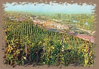 tokaj_latkep_15.jpg
