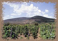tokaj_latkep_23.jpg