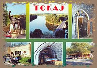 tokaj_montazs02.jpg