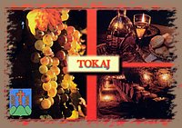 tokaj_montazs_18.jpg