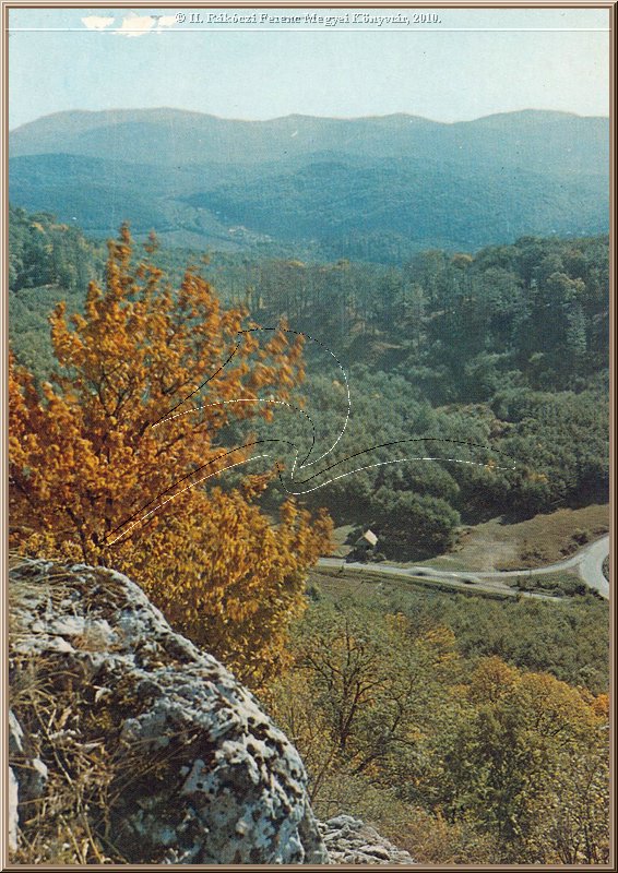 bukk14_sz.jpg