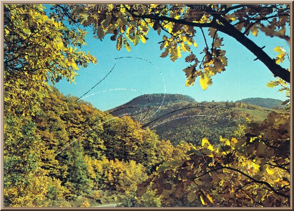 bukk3_sz.jpg