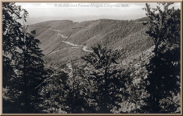 bukk4.jpg