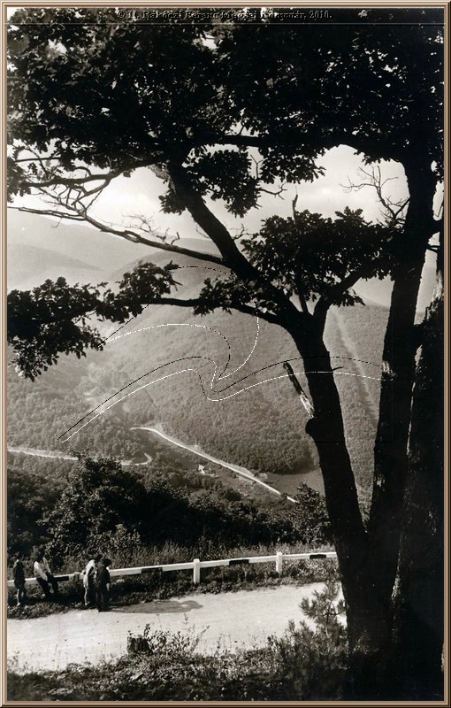 bukk5.jpg