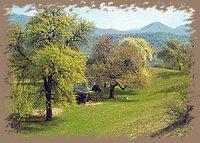 bukk12_sz.jpg