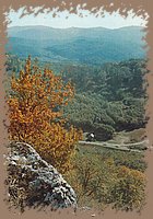 bukk14_sz.jpg