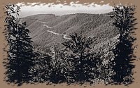 bukk4.jpg