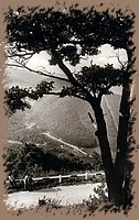 bukk5.jpg