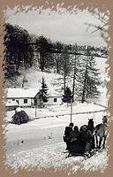bukk_hegyseg_a_csurgoi_erdeszlak.jpg